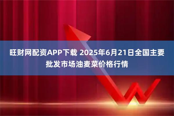 旺财网配资APP下载 2025年6月21日全国主要批发市场油麦菜价格行情