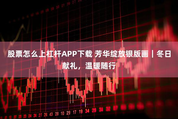 股票怎么上杠杆APP下载 芳华绽放银版画｜冬日献礼，温暖随行